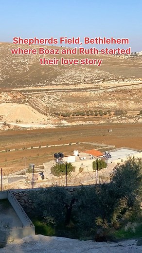 14K views · 867 reactions | Shepherds Field, Bethlehem. The Love Story of Boaz and Ruth started…. | Journey to the LAND of promise | Facebook