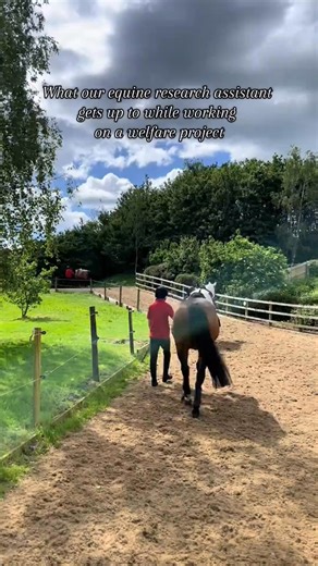 3.3K views · 30 reactions | Ronja is currently in her second year, studying our BSc (Hons) in Equine Performance and Rehabilitation degree. She initially volunteered with the Equine Research Club before securing a paid position as an equine research assistant alongside her studies. Discover our equine degrees via the link: https://www.hartpury.ac.uk/university/study/undergraduate/equine-degrees/ | Hartpury | Facebook
