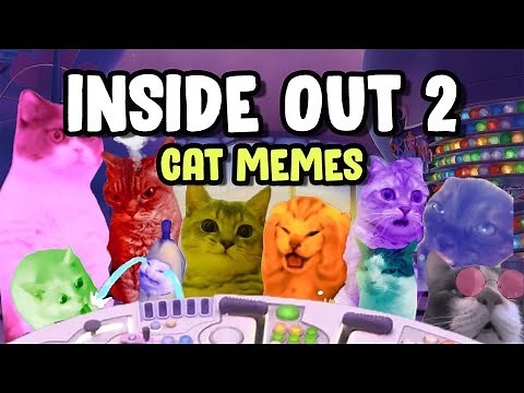 CAT MEMES: INSIDE OUT 2 PARODY