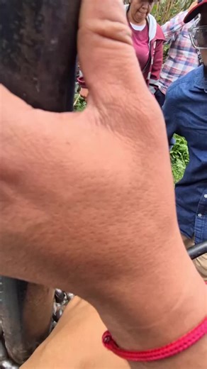 Videos de Miguel Ángel Moreno (@pantro189) con “sonido original - Miguel Ángel Moreno”