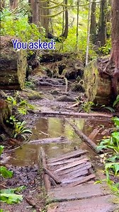 You asked… West Coast Trail experience #westcoasttrail #hiking #backpacking #mud #muddytrails