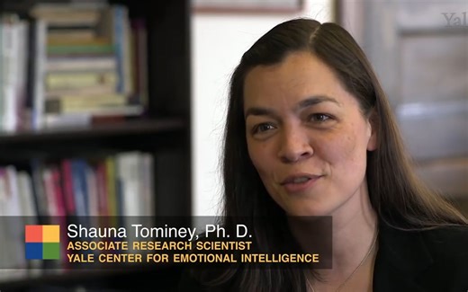 早期教育：耶鲁大学的RULER体系和情绪表