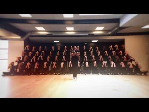 Murmuration projet 64 (2)