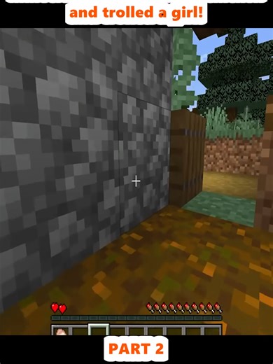 Minecraft: Trolling as a Chicken