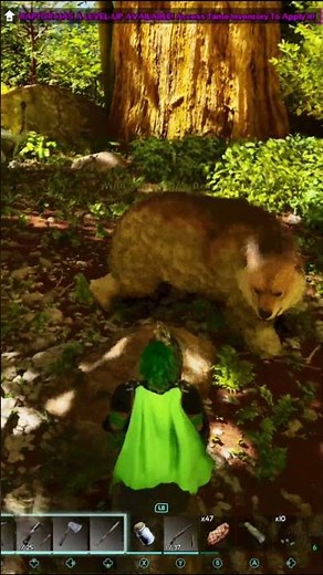 Trapping A Dire Bear #arksurvivalascended #arksurvivalevolved #gaming #arksupreme #gamer
