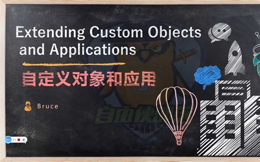 0基础入门_ Salesforce_admin高级管理员课程_中文学习_自定义对象和应用