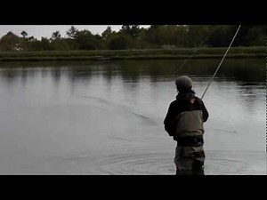 #ｽﾍﾟｲｷｬｽﾄ #schmitt フライキャスティング スペイキャスト より美しく、より遠くへ！