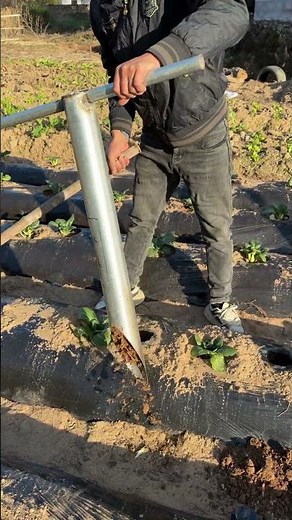 🌱⚙️ Core Soil Sampler Tool Extracting Subsurface Dirt Profiles