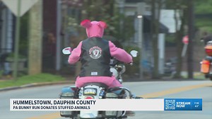 PA bunny run