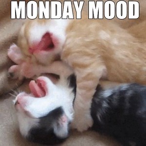 We'll just have 5 more minutes please.. | B&M Stores