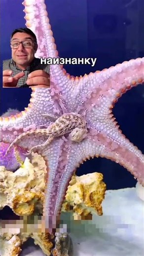 ✅ 300+ video lectures about nature and humans via the link in my profile