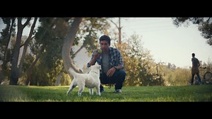 Citi Rewards  - Dog Ad