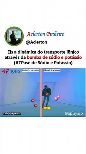 A cinética da bomba de sódio e potássio...