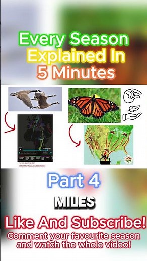 EVERY Season Explained In 5 Minutes Part 4 #shorts #seasonsexplained #nature #science #facts #season