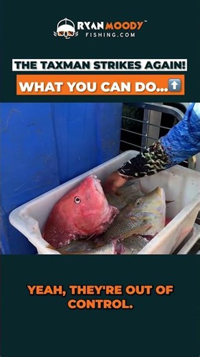 Every single fish eaten by sharks!!!