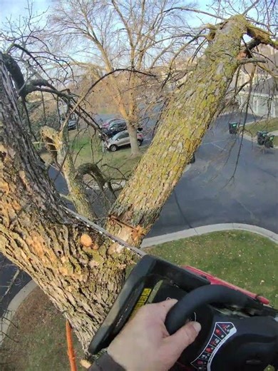 CHAINSAW 🔥 KEEPS falling apart what's that noise? vibrations unscrew case #if #you #know #chainsaw