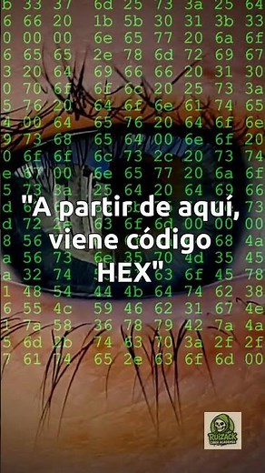 ¿Qué significa 0x? 🔢 El prefijo secreto del hacking