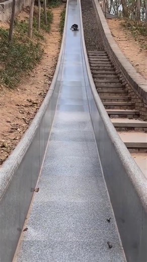 Funny Dog Fails: Smooth Moves Gone Wrong