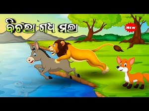Bichara Gadha Mala || Odia Moral story || Odia Gapa