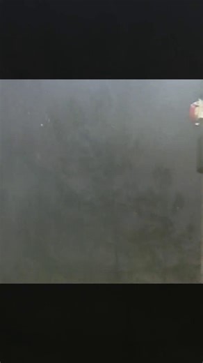 In August 2005, Father Vien Nguyen was only two years into his tenure as pastor of Mary Queen of Vietnam Church in New Orleans East when Hurricane Katrina and the subsequent levee failures inundated the city. The latest episode of NOLA Life Stories on New Orleans Public Radio revisits a 2008 interview conducted by HNOC Senior Historian Mark Cave, in which Nguyen describes riding out the storm and its aftermath with his parishioners. Listen to the full episode: https://ow.ly/EVT750WLMHe Nguyen’s 