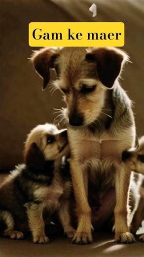 Gam ke mare dog ! #cartoon #trending #catworld #funny #trendingshorts #comedy #viral