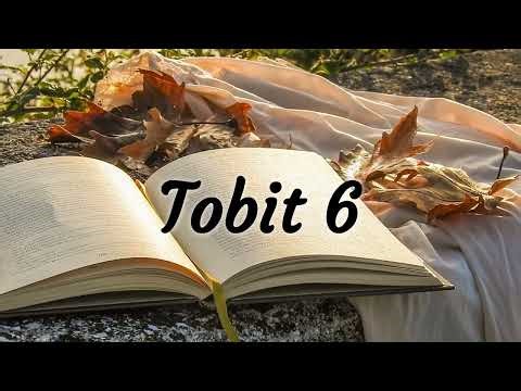 The Book of Tobit Chapter 6 - Contemporary English Version (CEV) - Audio Bible