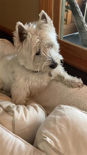 Too funny. | Tim Andrew