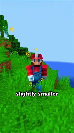 Minecraft’s Secret Sign Glitch! (No Mods)! #minecraft