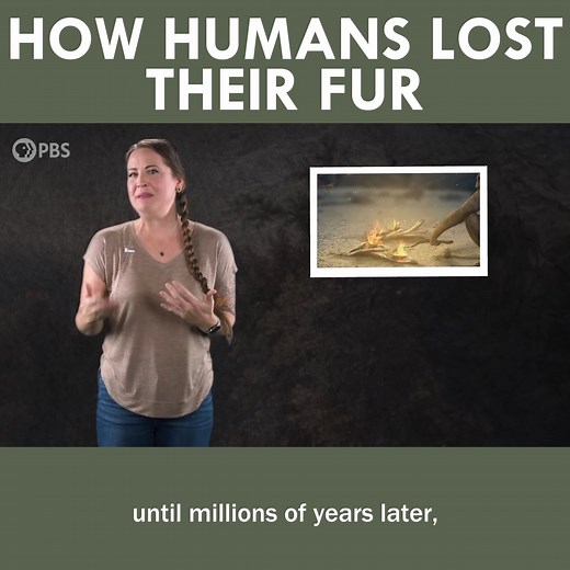 300K views · 3.2K reactions | How Humans Lost Their Fur | Eons • PBS | Facebook