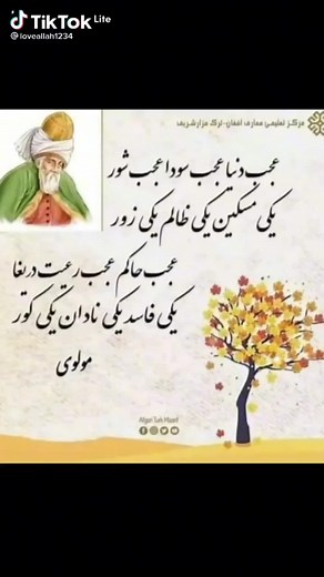 Stylized Tree Illustration with Colorful Trunk