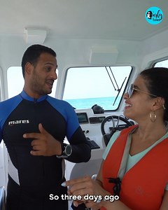 64K views · 895 reactions | Indulge In Water Sports Activity At Al Dar Island In Bahrain ️ #aldarisland #watersportsbahrain #adventureawaits #bahrainexplorer #curlytales #curlytalesme #curlytalesmiddleeast | Curly Tales Middle East | Facebook