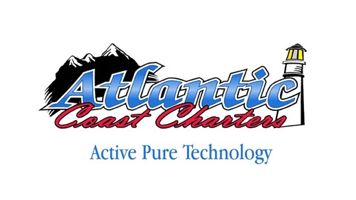 ACC Active Pure