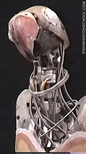 Paulie is a charming 1998 American adventure comedy-drama film directed by John Roberts. Bringing the lovable parrot Paulie to life required the expertise of Stan Winston Studio, similar to their work on Mouse Hunt, to mechanize a small bird puppet and deliver a comedic performance. In the film, fourteen trained blue-crowned conure parrots portrayed Paulie on set, while comedian Jay Mohr provided his voice. For expressive close-ups, talking shots, and stunts too dangerous for real birds, the ful