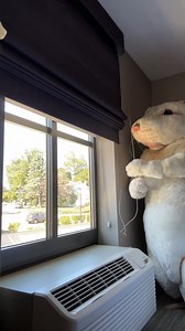 10K views · 358 reactions | Our mouse mascot crashed the presidential debate, calling out National Institutes of Health (NIH) spending $22 billion in tax money on ineffective animal experiments. It’s time to support cutting-edge research that delivers real results for humans! #DITL #DebateNight | PETA (People for the Ethical Treatment of Animals) | Facebook