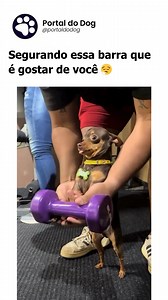 Como diz o poema: DIG DIG DIG Ê.. | Portal do Dog