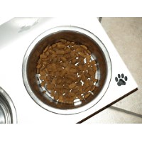 Reico Hundefutter im aktuellen Test - Alle Vor- und Nachteile