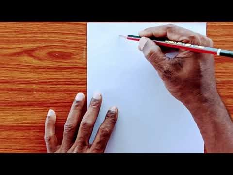 How to draw tulip flower // tulip flower drawing easy #tulip #flowers