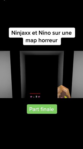 Réponse à @youssefmacibah - Fin Horrifique avec Ninjaxx et Nino