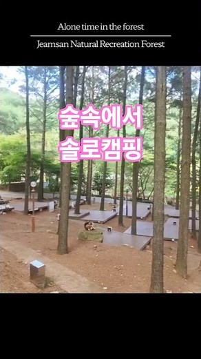 Alone in the Forest | Jeamsan Natural Recreation Forest | Solo Camping #solocamping #JeamsanNatur...