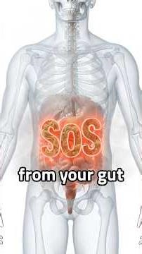 If your gas smells like rotten eggs, your gut may be producing toxic sulfur gas. #fartsmell #guts