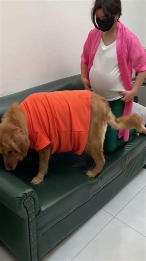 有你陪伴，老公都不要了 #pets #美女搞笑 #狗狗 #funny