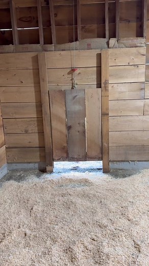 Clean Barn Surprise for Little Reindeer | Heartwarming Goat Farm Video