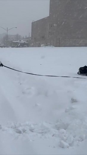 708K views · 4.4K reactions | Kenosha County residents woke up to a winter wonderland Monday morning after lake-effect snow blanketed Kenosha and Racine counties. Read more at the link in the comments. | TMJ4 News | Facebook