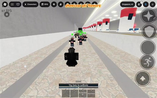 Ultimate Flower Showcase in Roblox