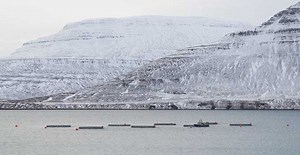 BIOMAR AND SÍLDARVINNSLAN TO BUILD NET-ZERO AQUAFEED FACILITY IN ICELAND