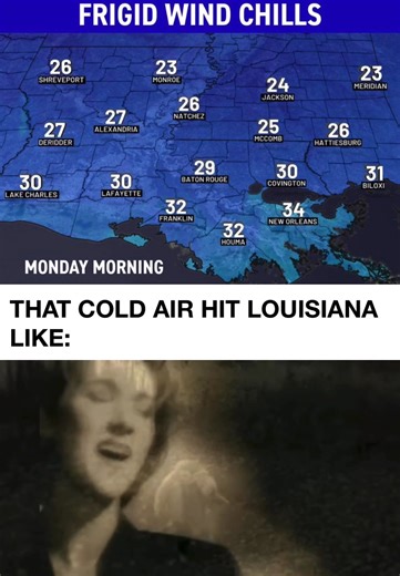 990K views · 6.6K reactions | 略略略略 | WVUE FOX 8 | Facebook