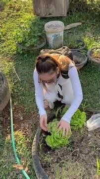 ชอบแบบนี้❤️🧡 #travel #vangvieng #laos #เที่ยว #ลาว