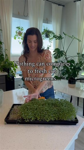 1.6K views · 5 comments | Why settle for those sad little boxes of...