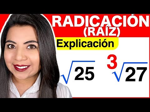 What is Root Formation? (Complete and Easy Explanation)