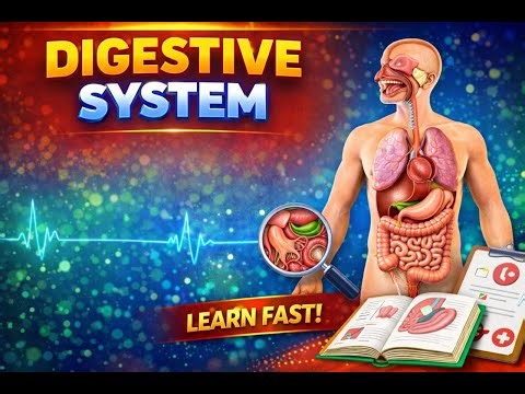 Digestive System | Structure of Digestive system | Nursing Tutorial